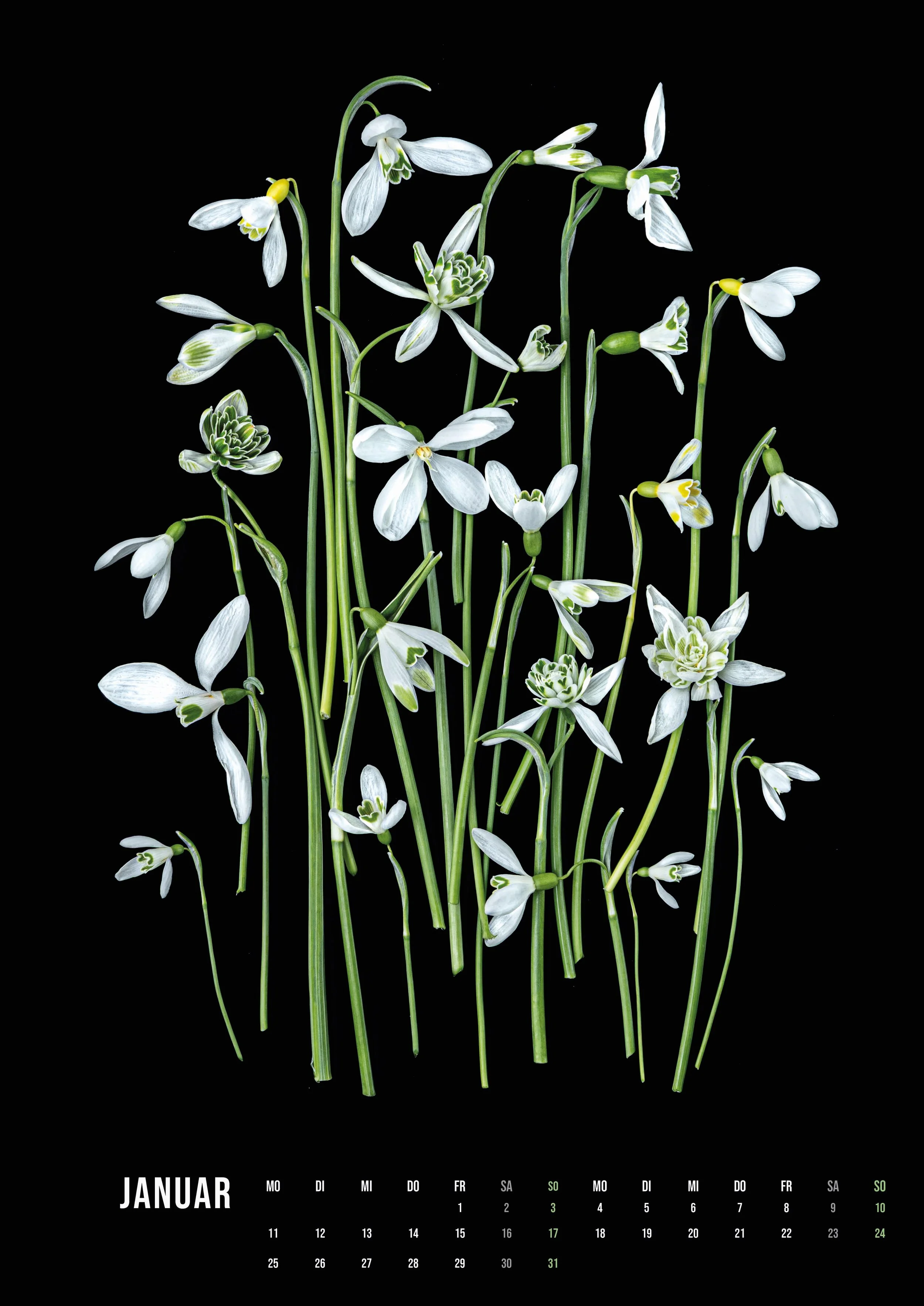 Kalender A3-Hochformat_flower_art_ 2027_14Seiten2.jpg