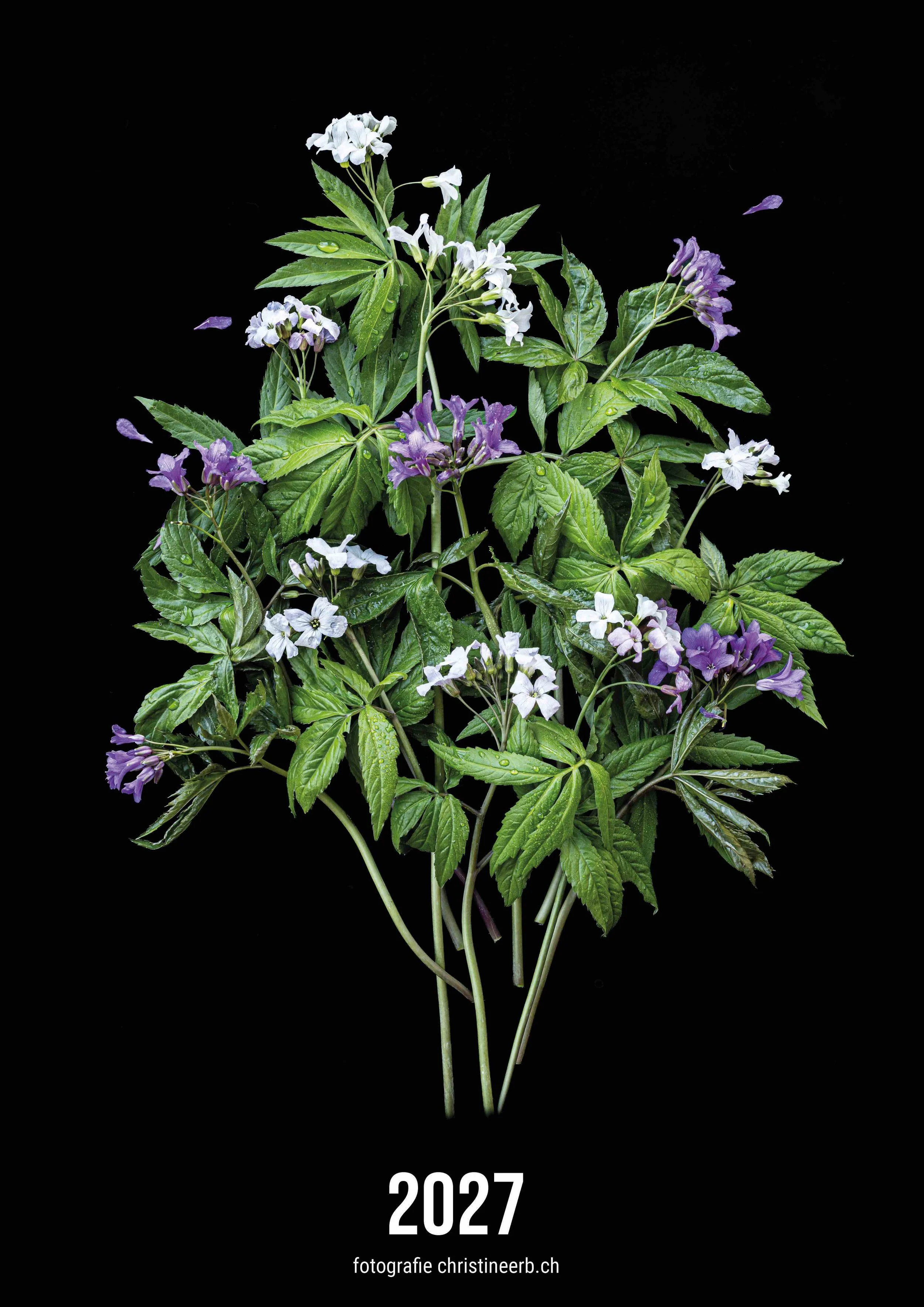 Kalender A3-Hochformat_flower_art_ 2027_14Seiten.jpg