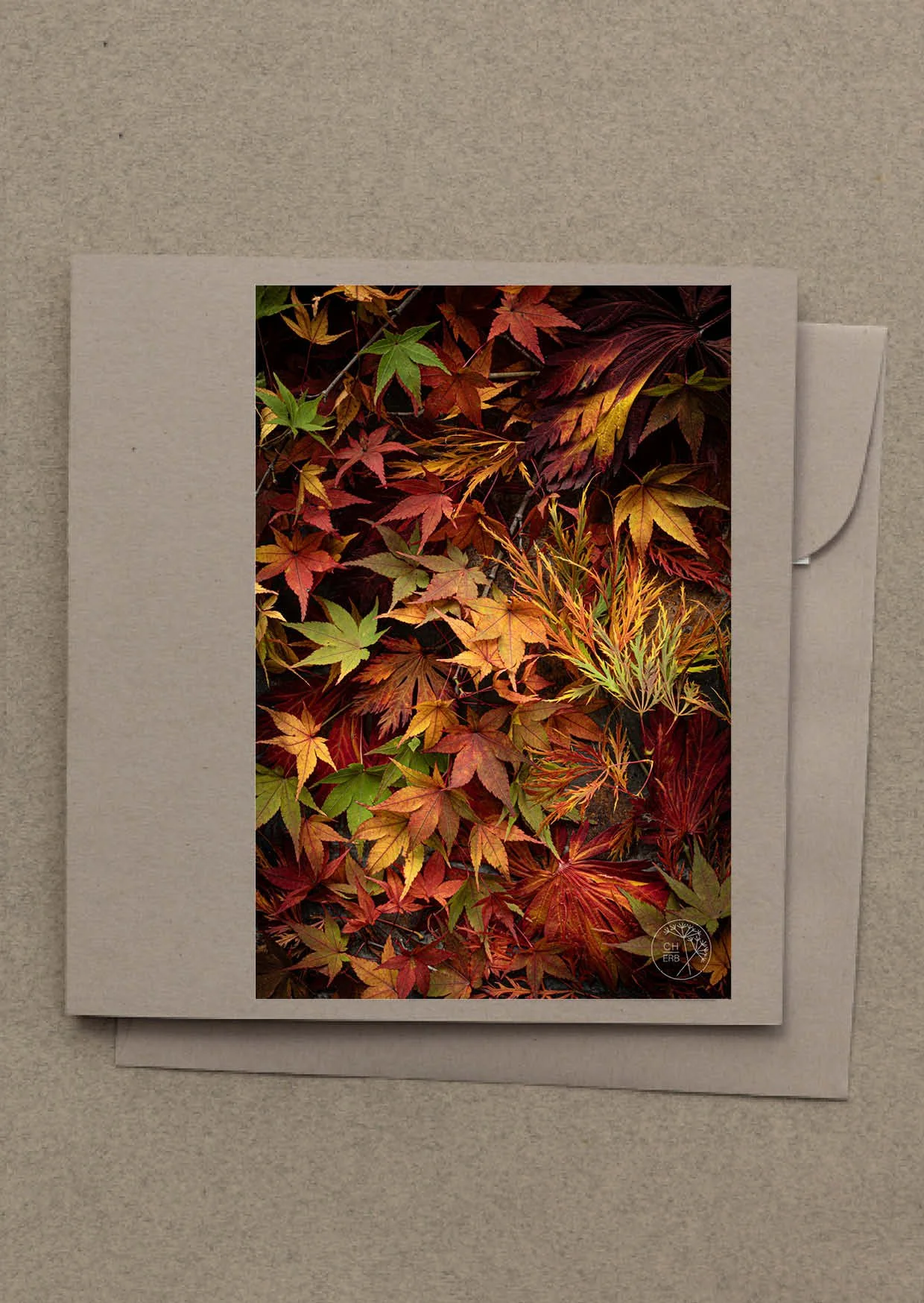 japanische ahorn grusskarte g2402