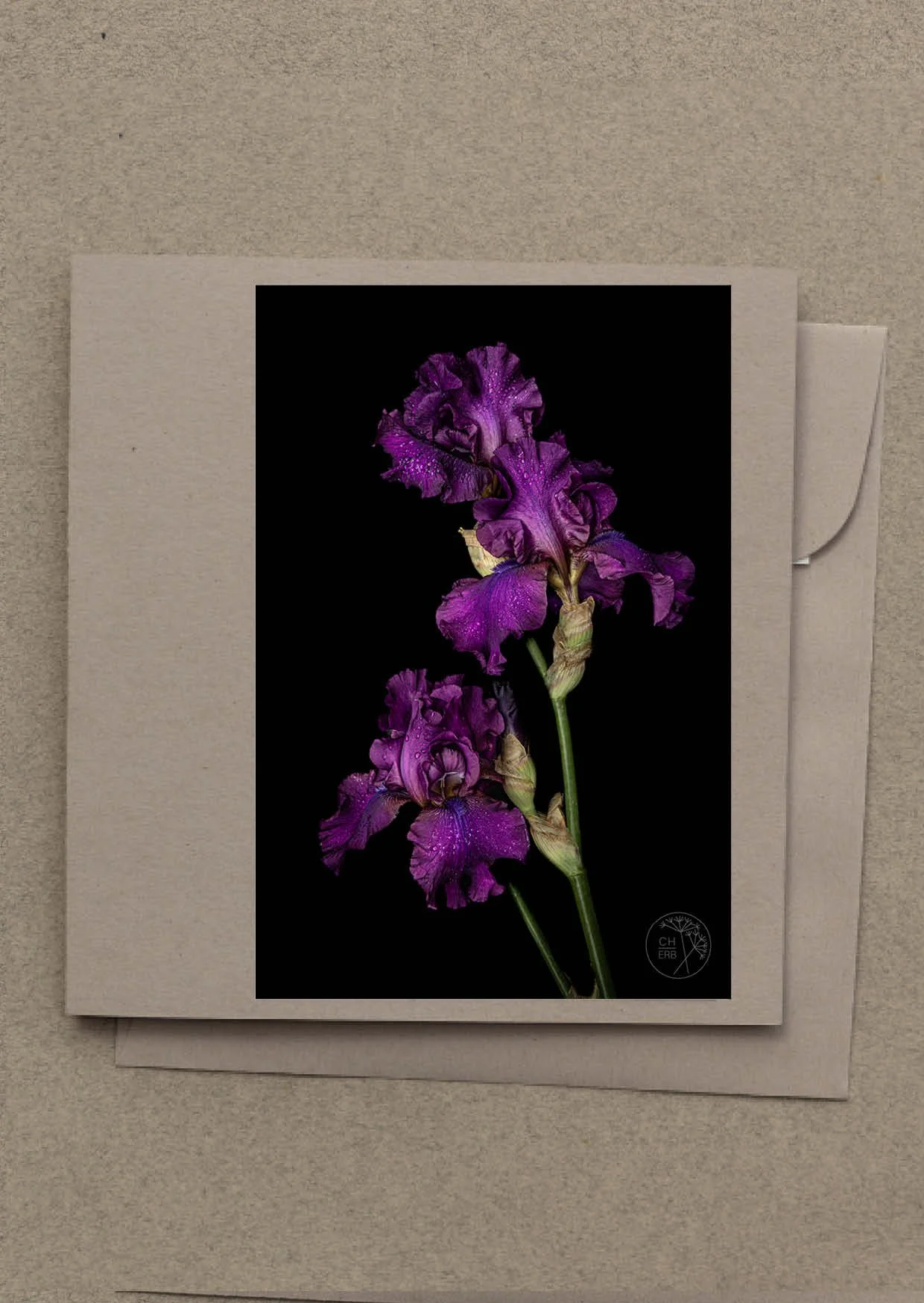 schwertlilie violett grusskarte g2511