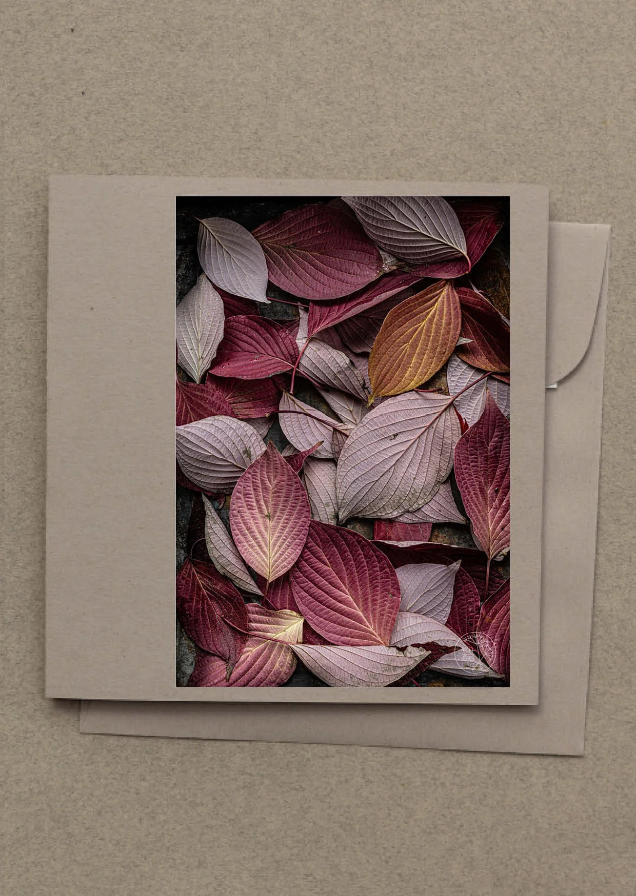 etagen-hartriegel grusskarte g2403