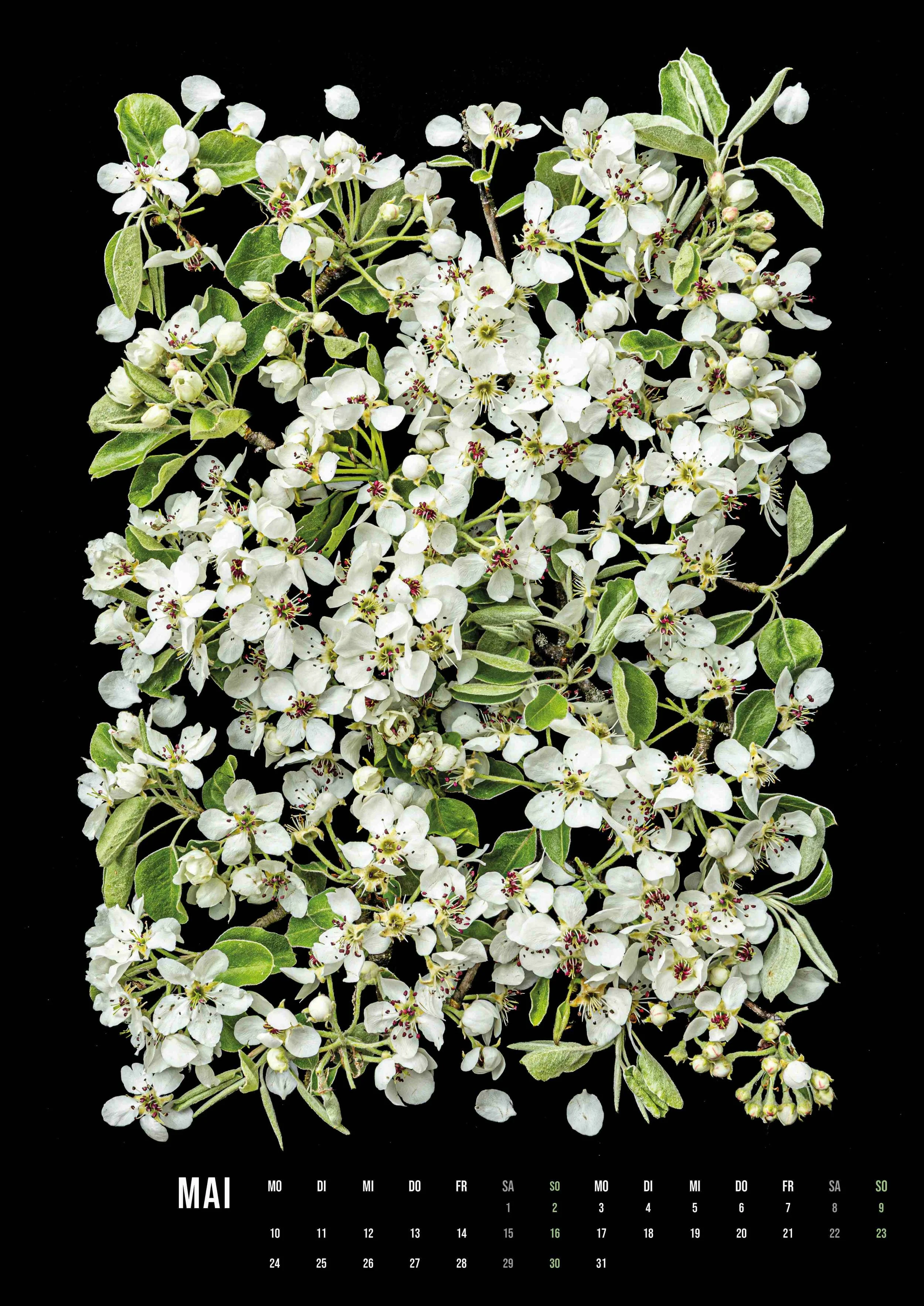 Kalender A3-Hochformat_flower_art_ 2027_14Seiten6.jpg