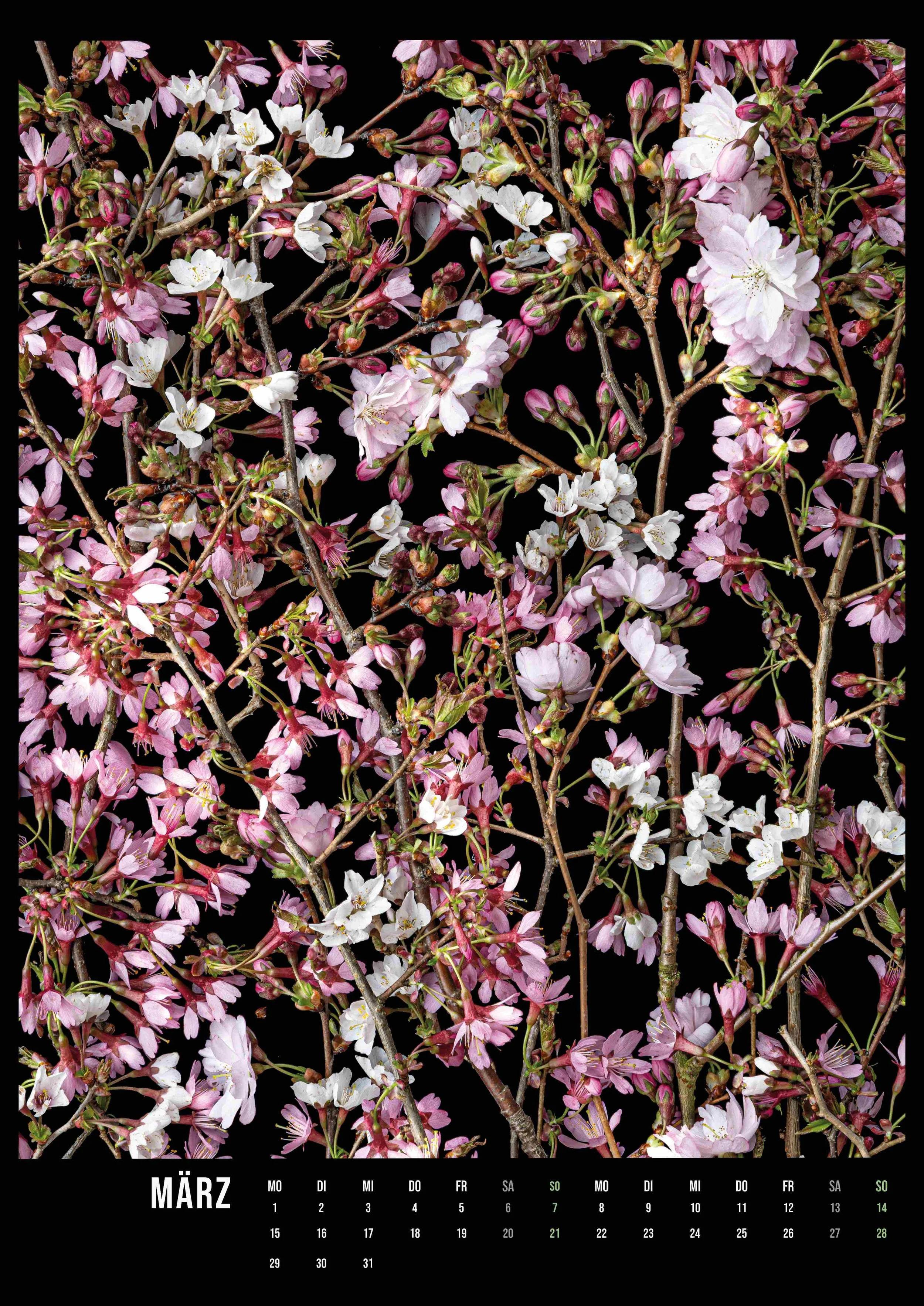 Kalender A3-Hochformat_flower_art_ 2027_14Seiten4.jpg