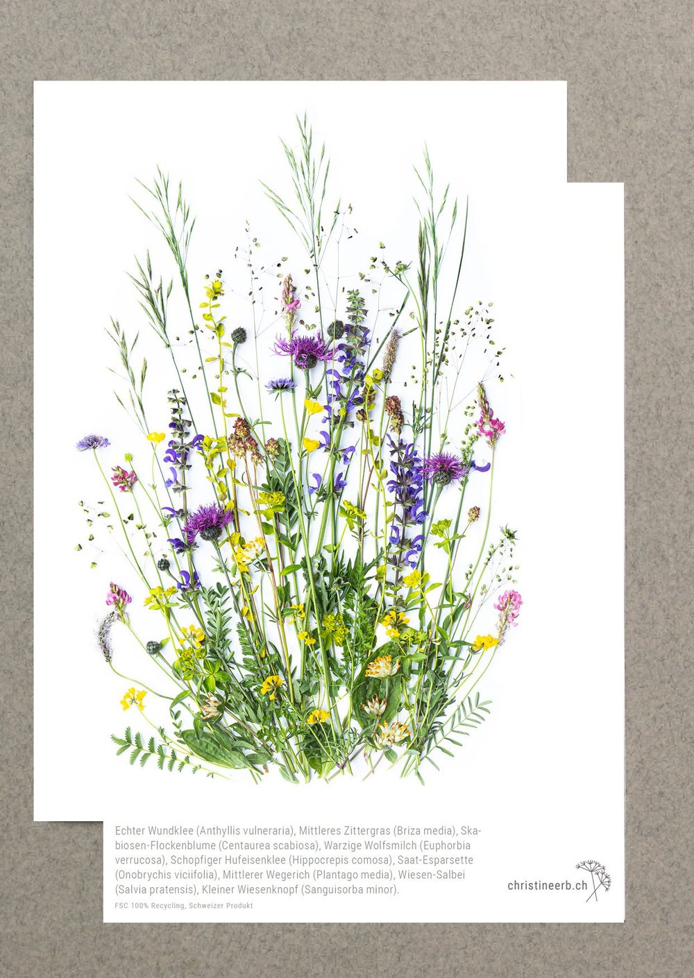magerwiese postkarte a6 ep2405  christine erb