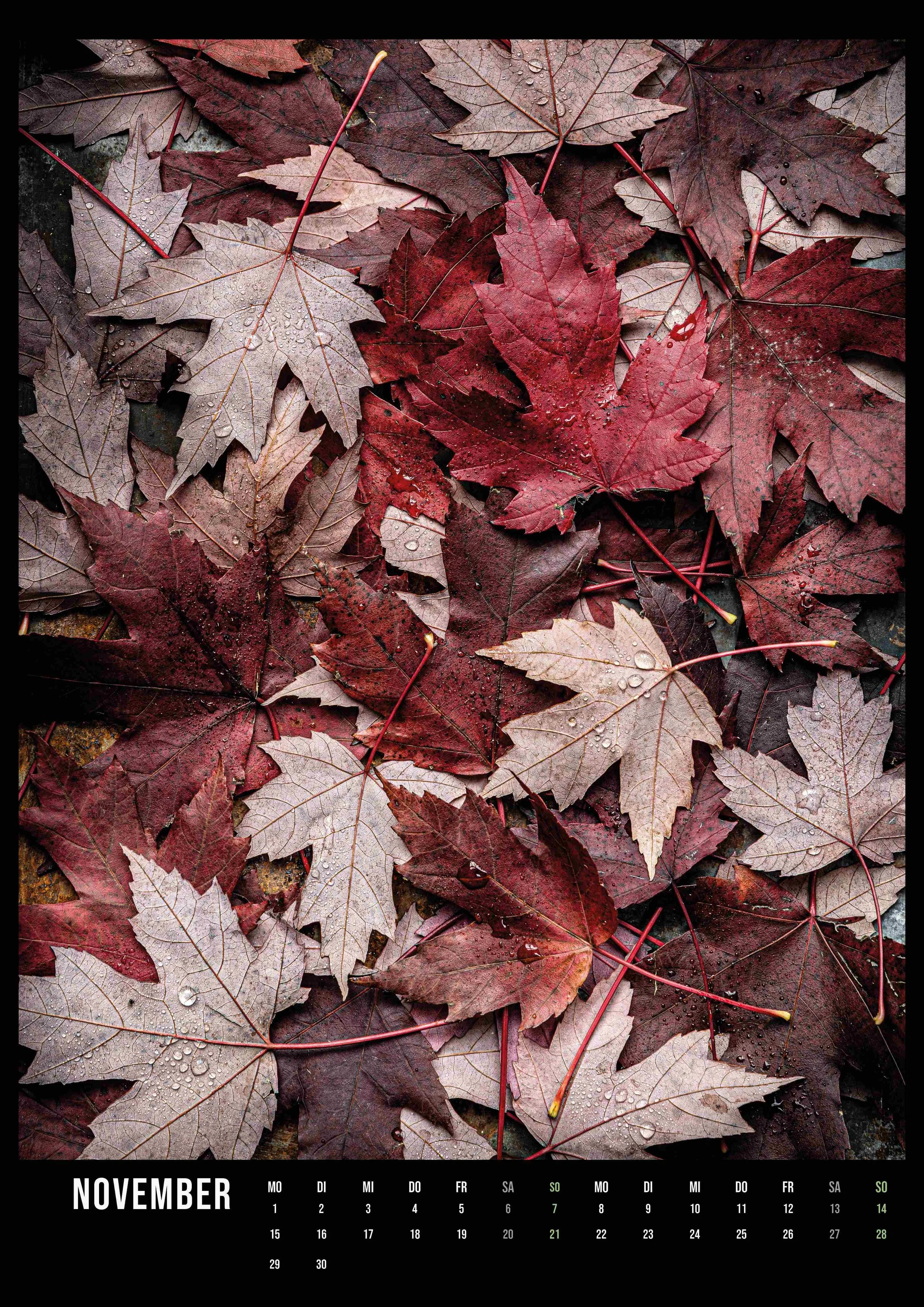 Kalender A3-Hochformat_flower_art_ 2027_14Seiten12.jpg
