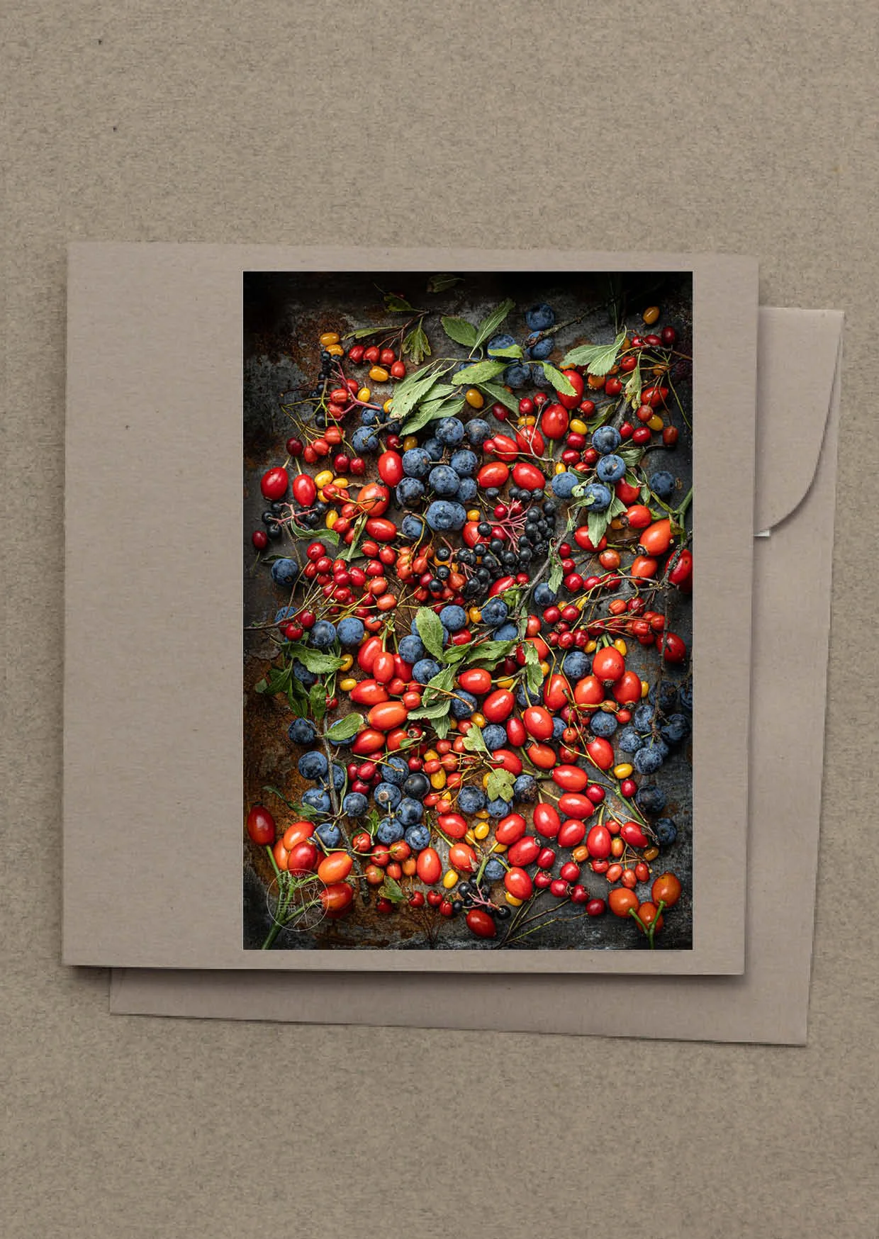 herbstfrüchte grusskarte g2401