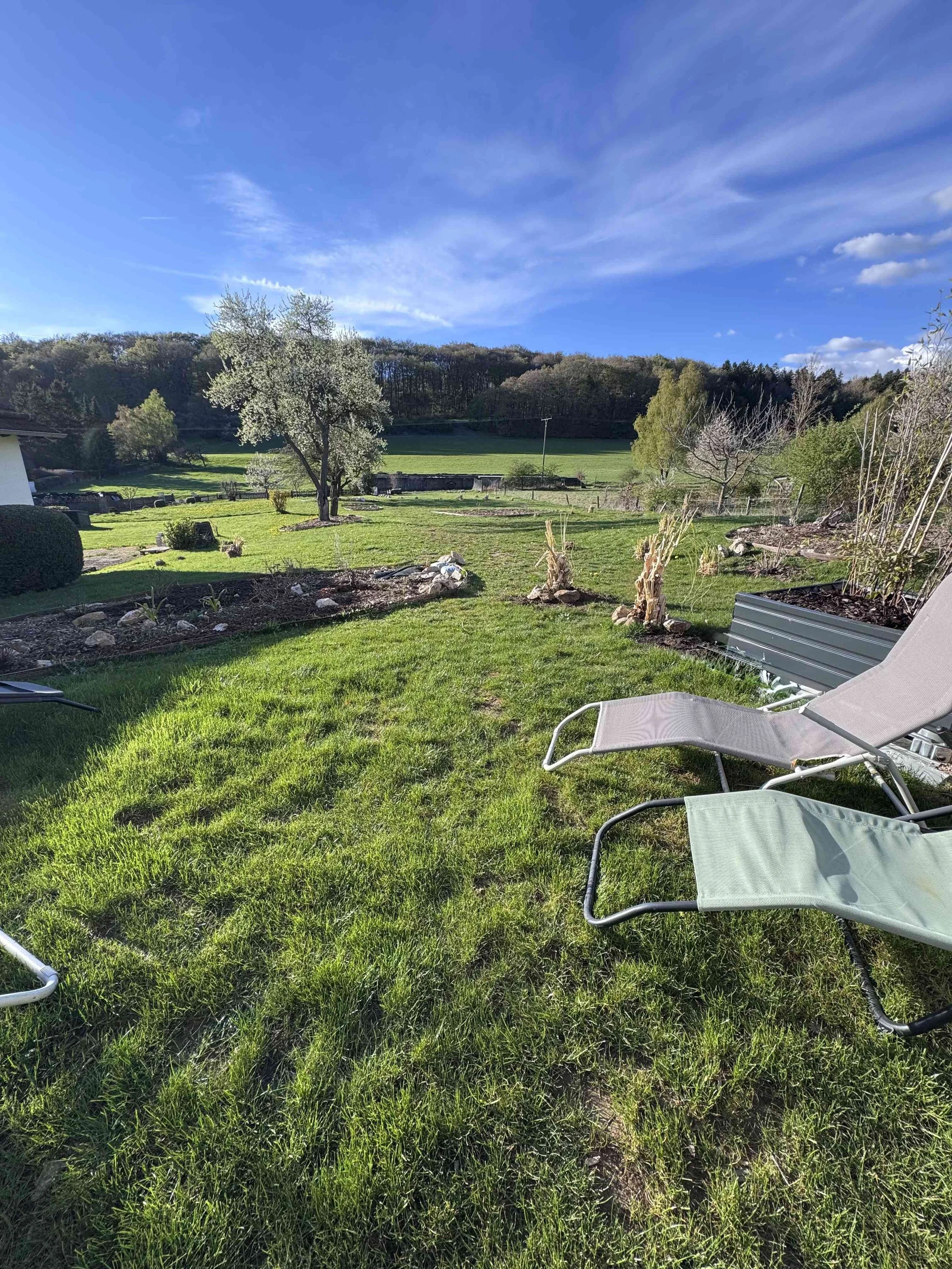 Ein grüner Garten mit Liegestühlen, Bäumen und einer blauen Himmel mit Wolken.