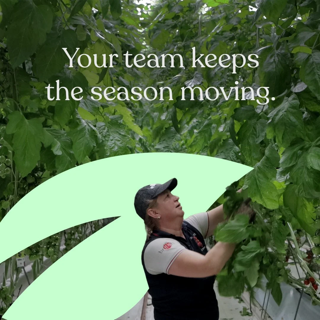 The people who keep your farm moving deserve more than just a place to sleep🚜

They deserve comfort, warmth, and space to unwind after a long day.

Find out more about how Keops can help your team, built for this season, and every one after...👇 

h