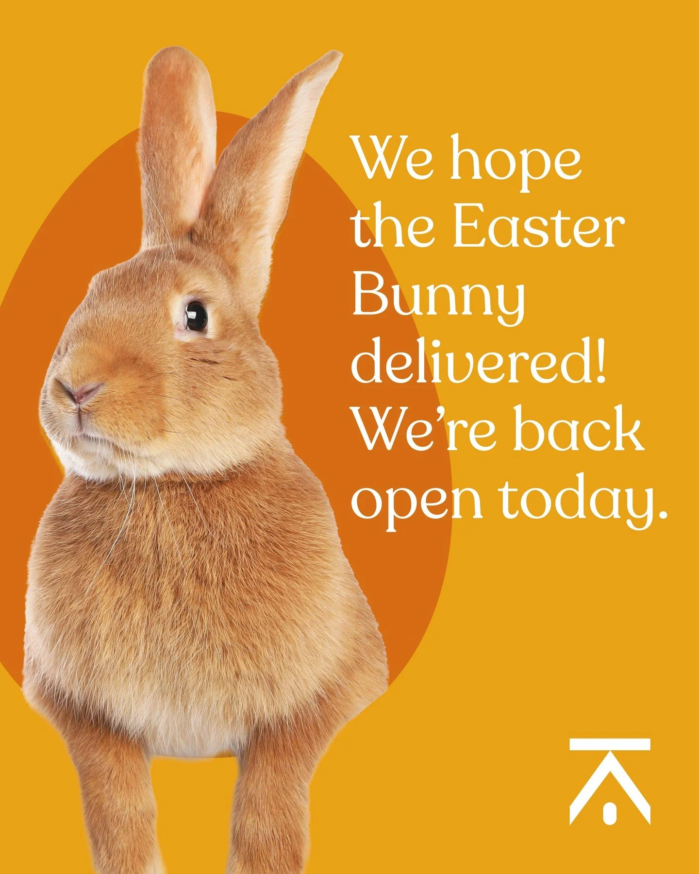 We're back! ✔️ 

Hope the Easter Bunny was good to you! 

Feeling refreshed, rejuvenated, and perhaps a tad overindulged in chocolate 🍫. 

Excited to dive back into crafting spaces designed for more. Did inspiration visit during the break? Reach out
