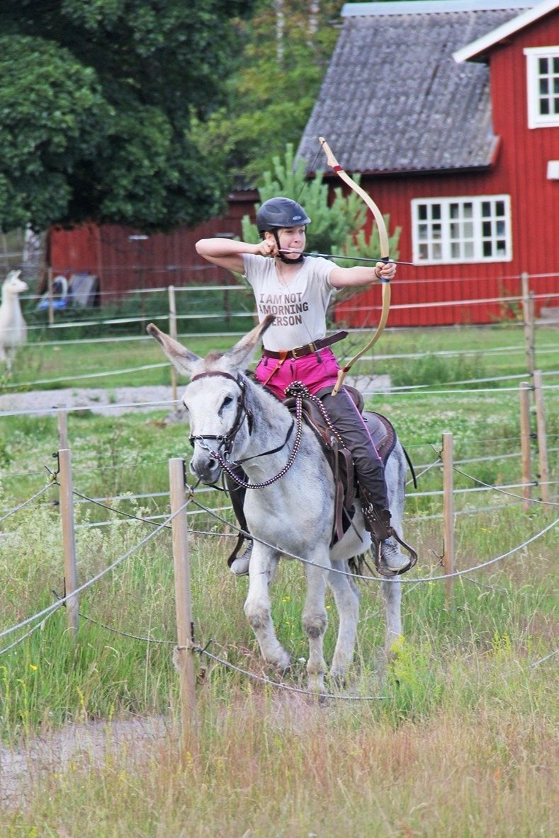 Alfred och Eowyn - Emilia Karlsson