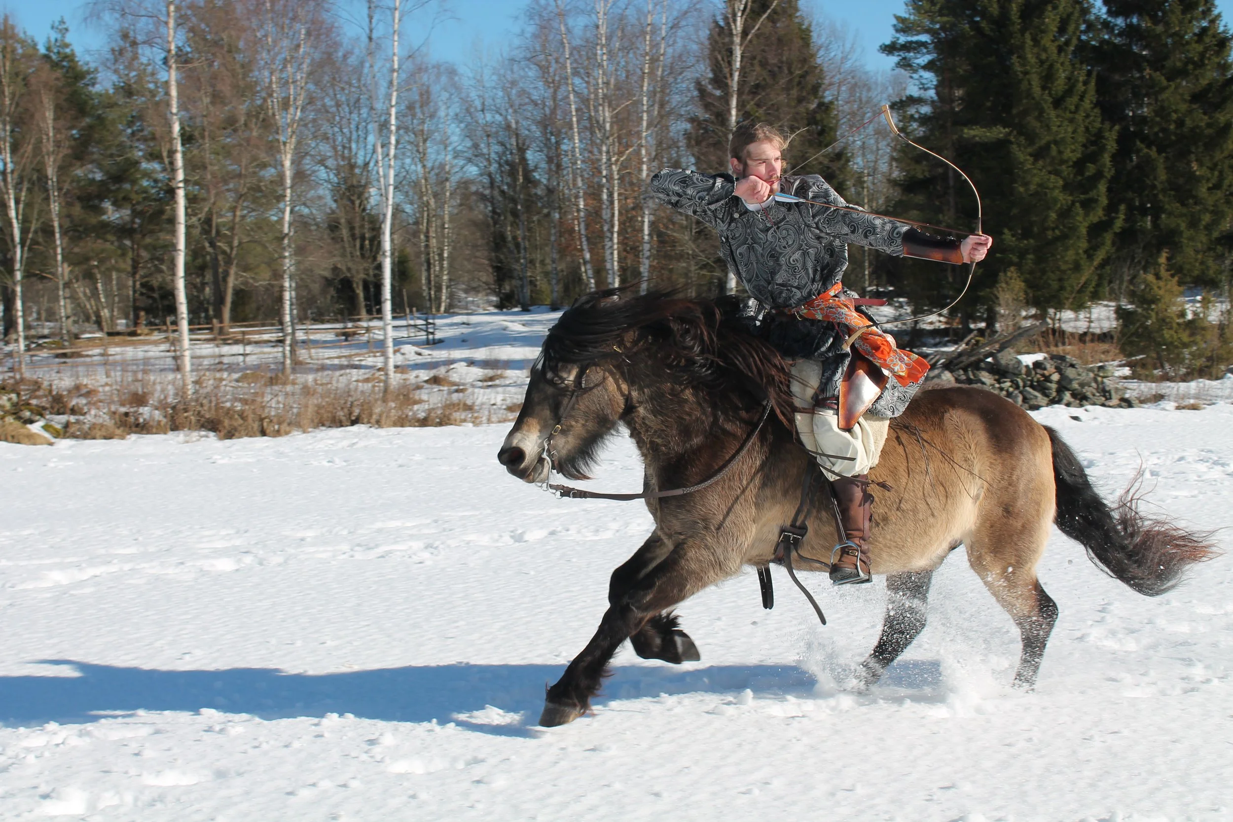 Jimmie och Bork - Christel Bergkvist