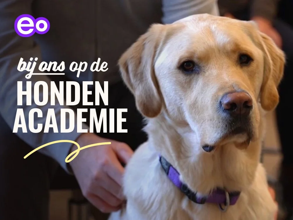 Bij Ons Op De Hondenacademie