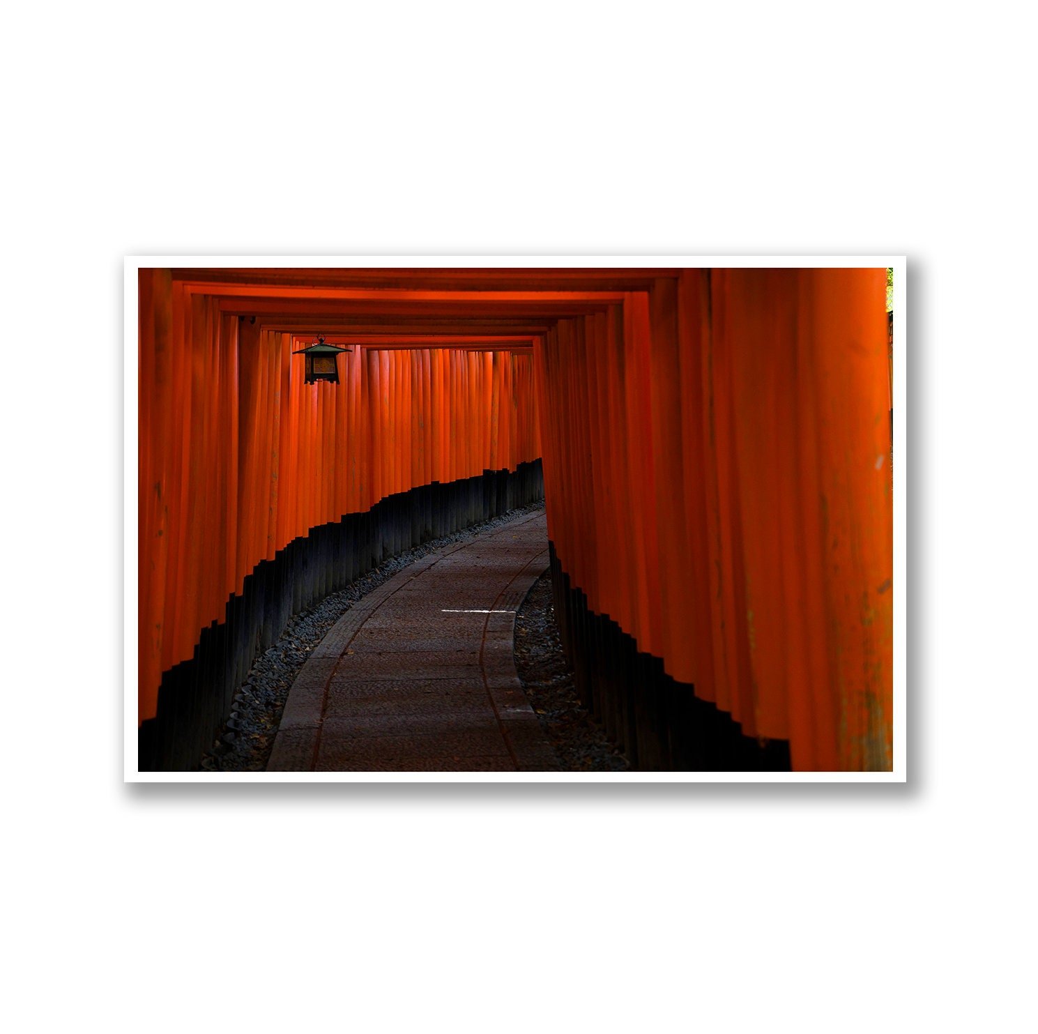 https://i.etsystatic.com/15965084/r/il/4de84d/4641269709/il_fullxfull.4641269709_m7pr.jpg