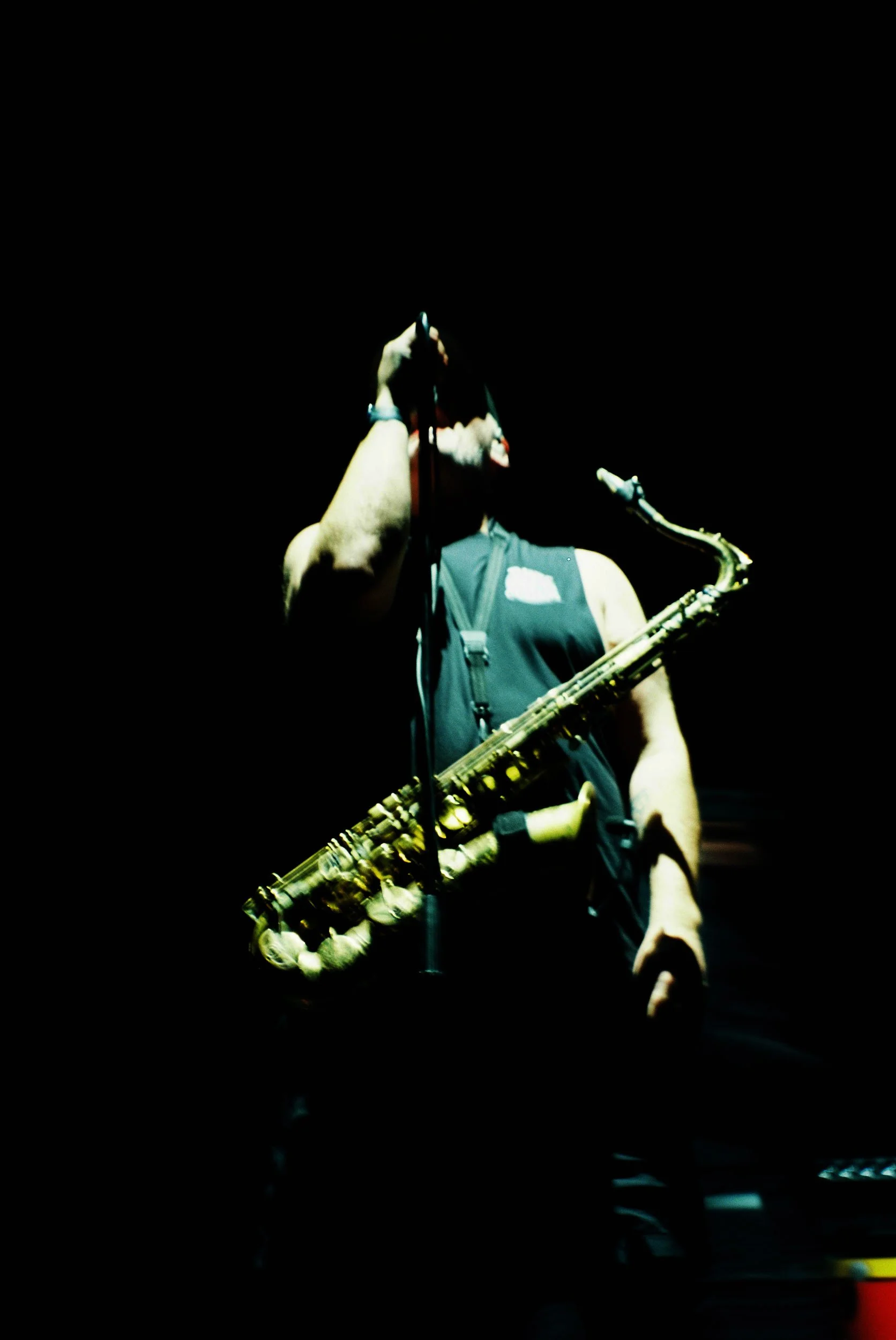Less Than Jake, shot with Ektar 100 film