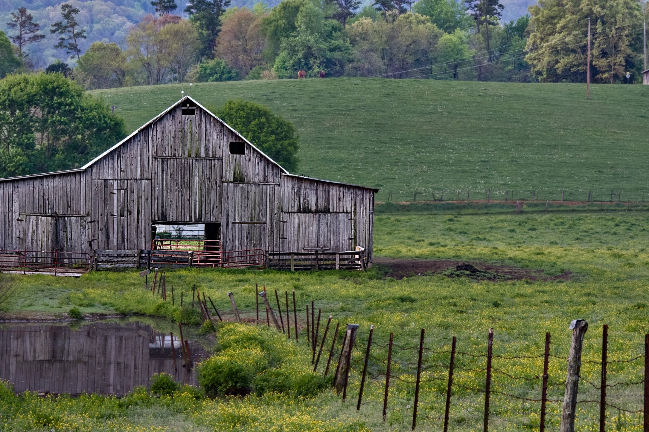 barn final.jpg