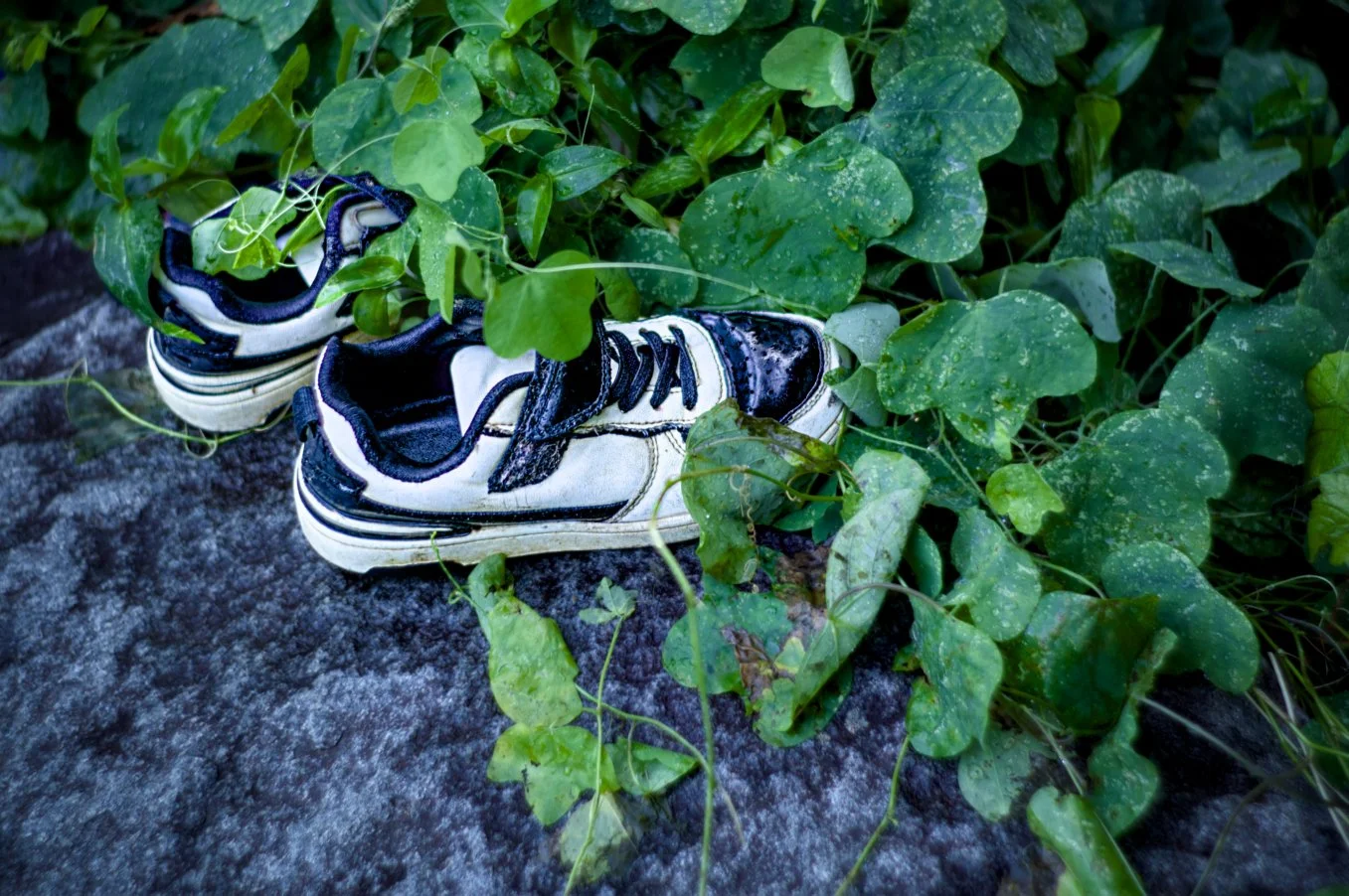 shoes.jpg