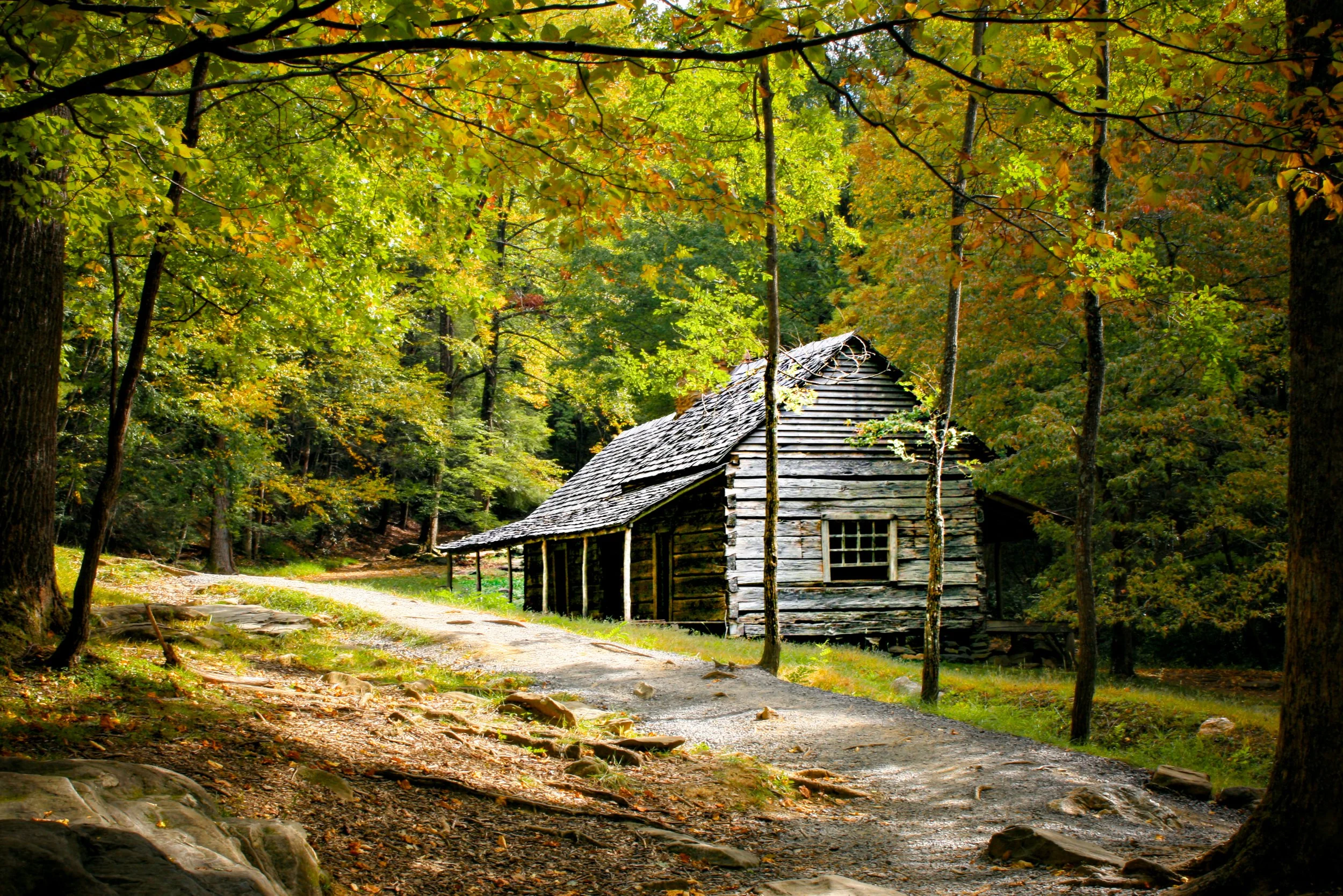 Ogle's Cabin.jpg