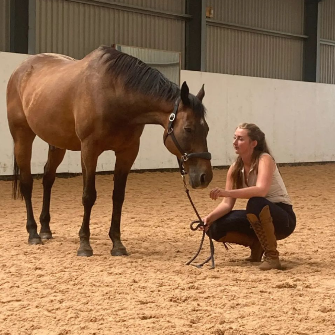 Yasmin Stuart Equine Social Library 2