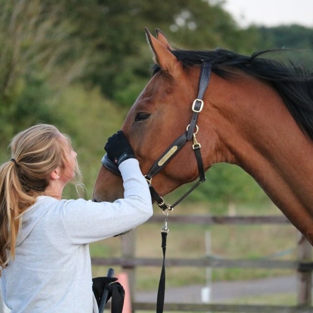 Yasmin Stuart Equine Social Library 4