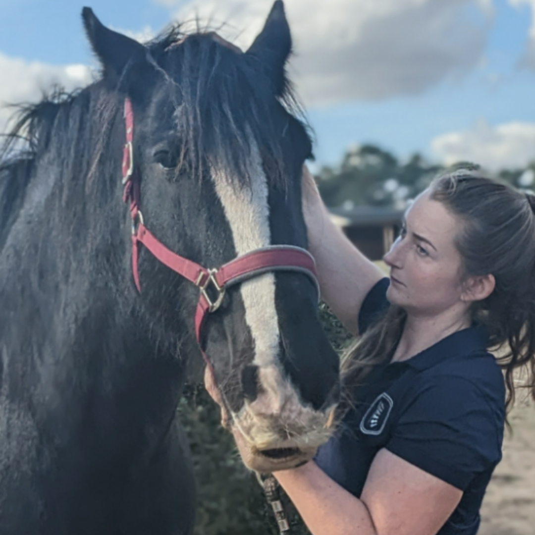 Yasmin Stuart Equine Social Library 7