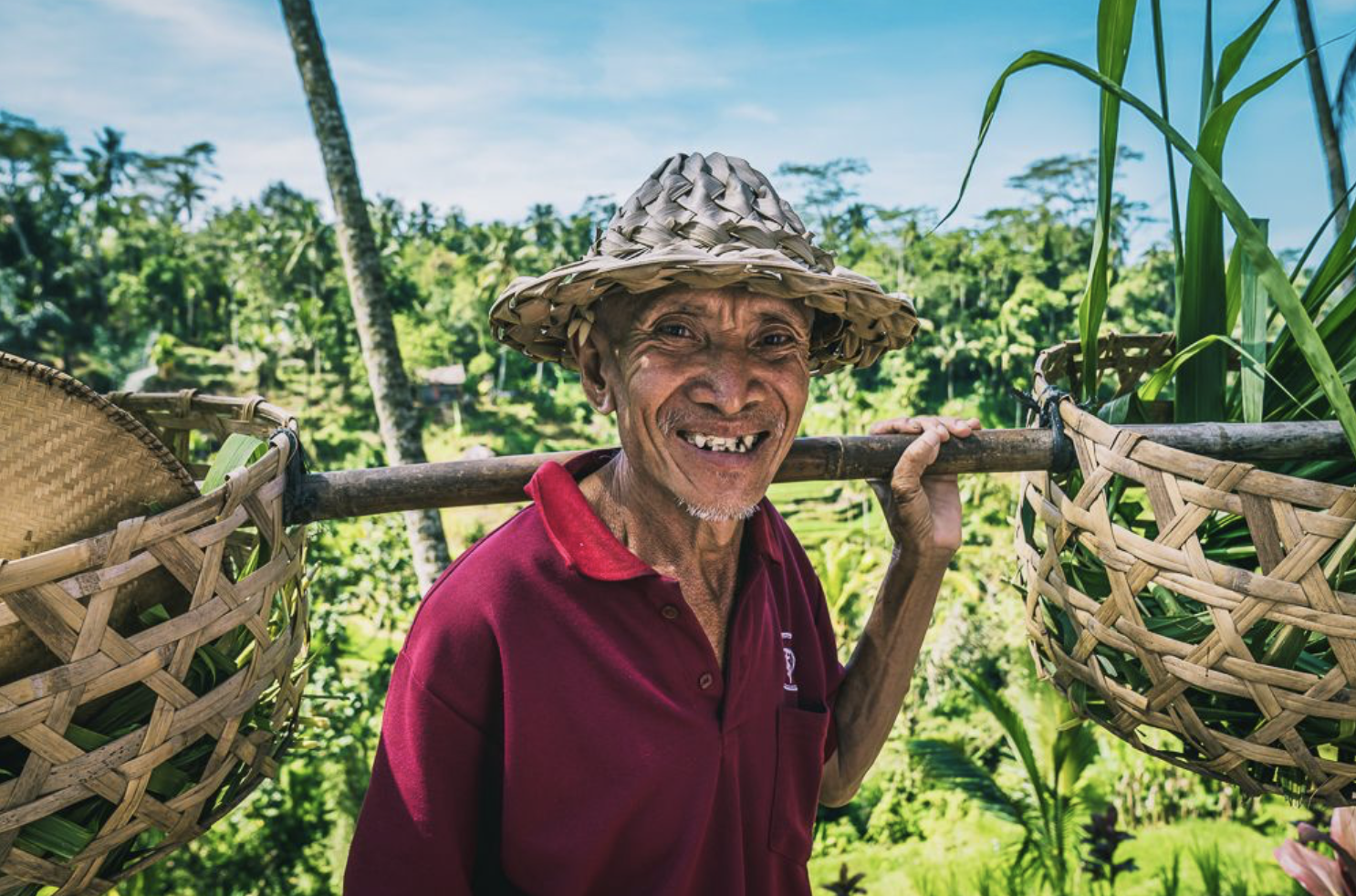 Bali 1.png