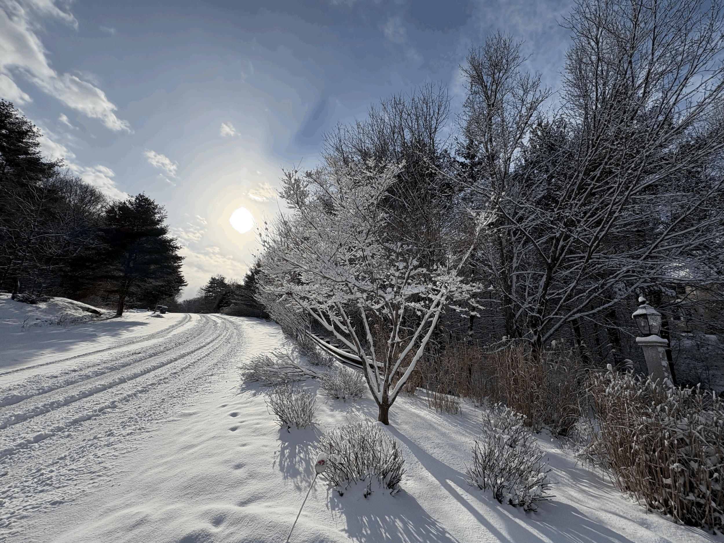 New Year Reflections