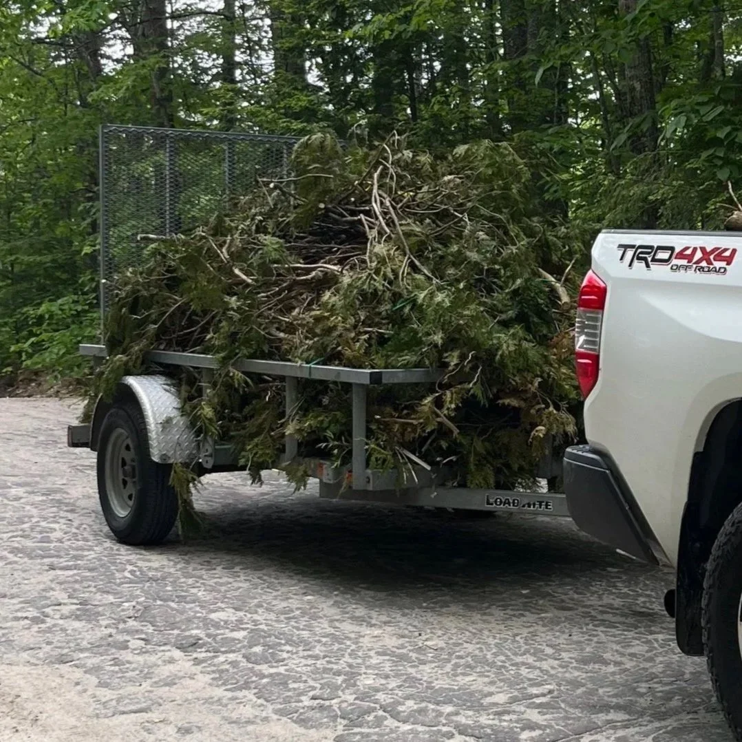 A trailer loaded with tree branches and foliage attached to a white pickup truck on a gravel road in a wooded area.