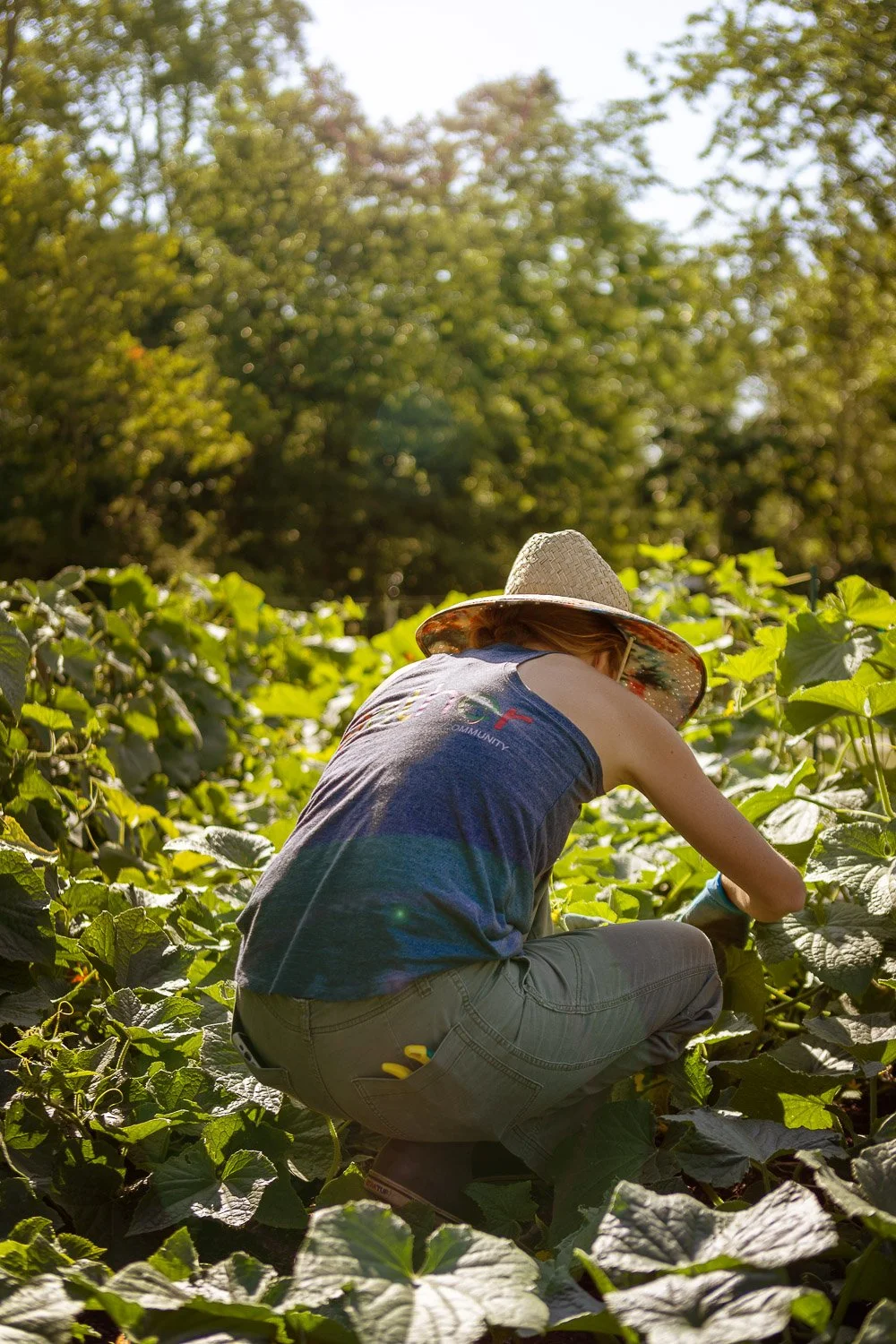 Cultivating Health and Hope