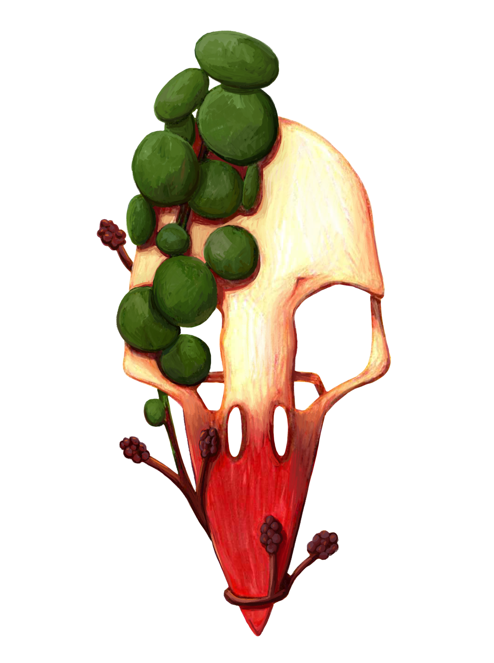 bird skull 2.png