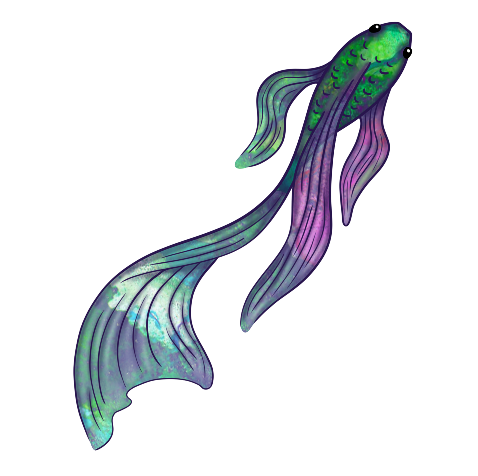 fish 7.png