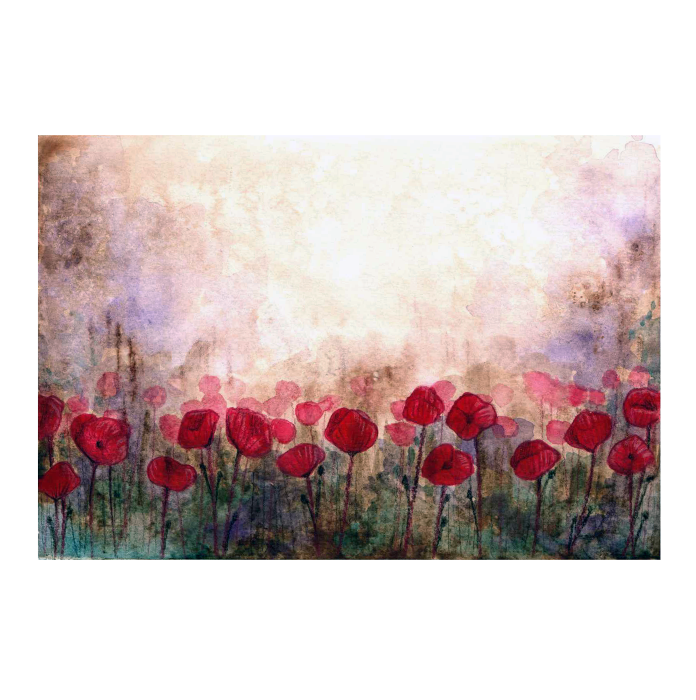 oo. poppies 2.png