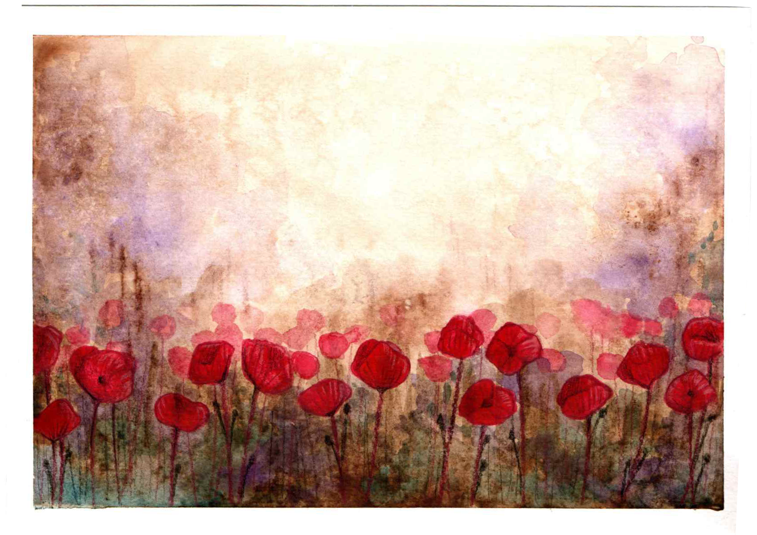 poppies.png