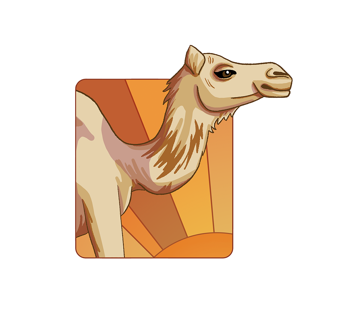 camel 3.png