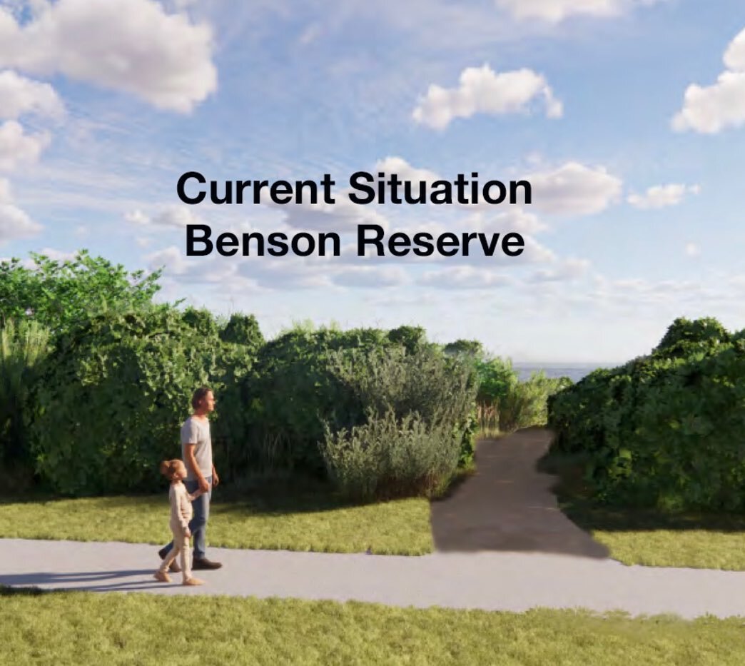 Swipe 👈
Slide 1: Current Situation 

Slide 2: Alternative plan, if forced to do something, trim the vegetation keep the trees.

Slide 3: CCOM plan install goats, they eat everything, remove all exotic plants and trees, plant seeds with hay(deer will