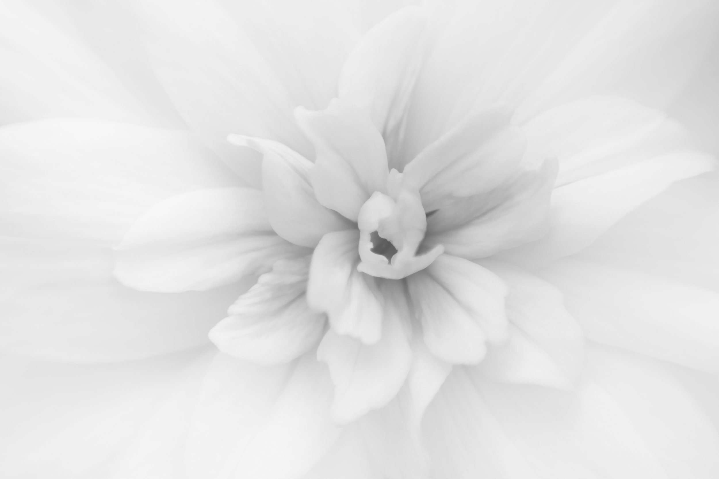 untitled-3013-Edit.jpg