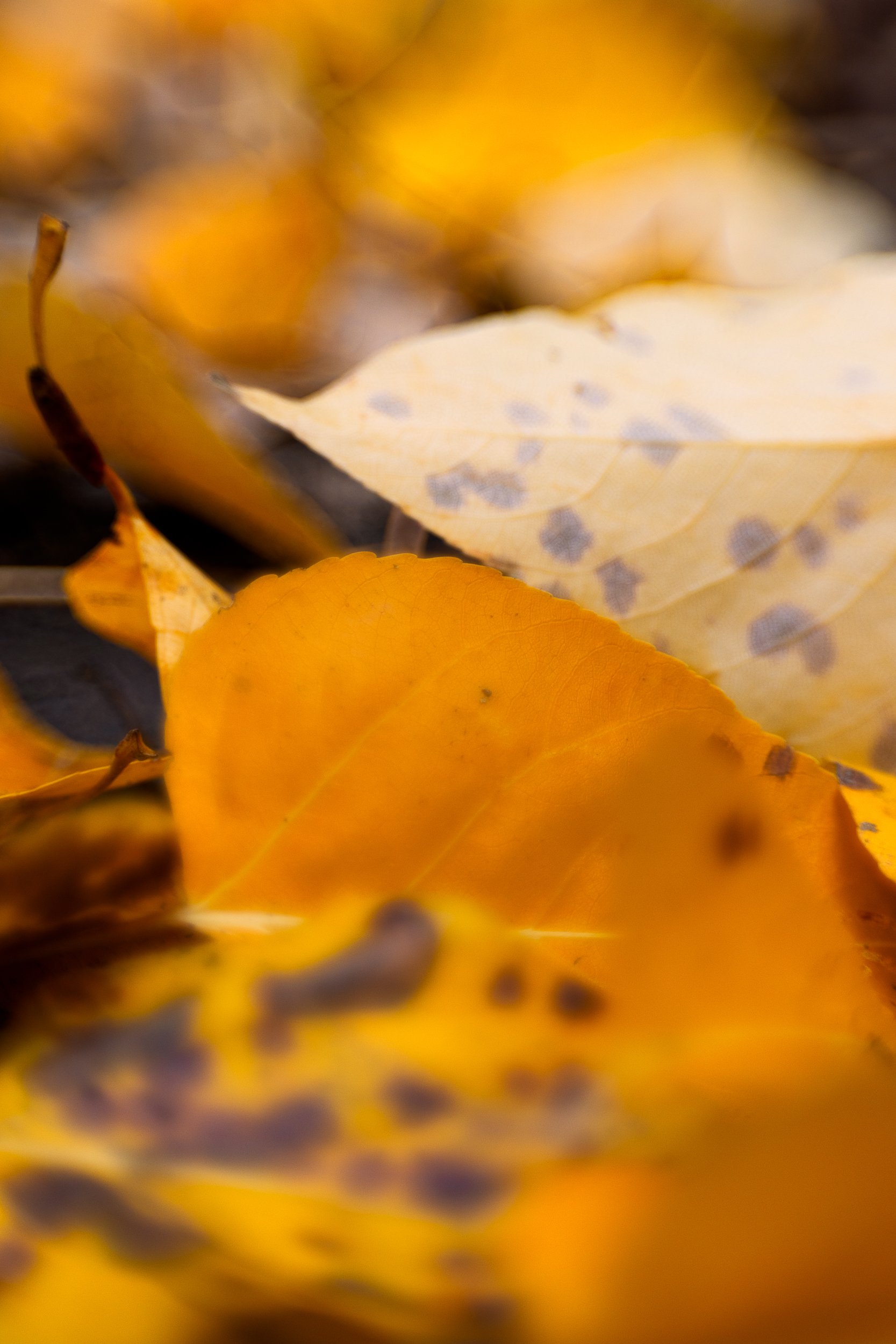 untitled-4191-Edit.jpg