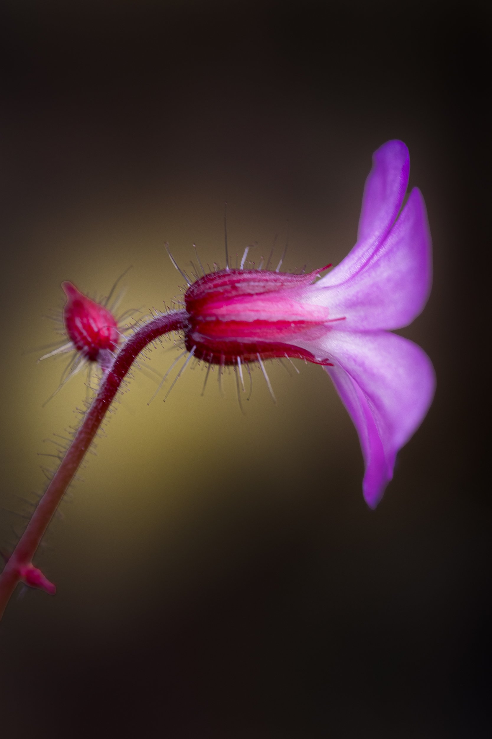 untitled-4163-Edit.jpg