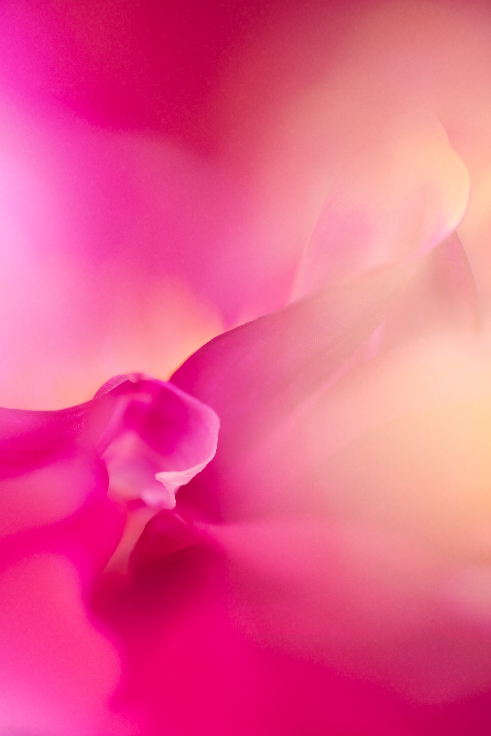 untitled-3039-Edit.jpg