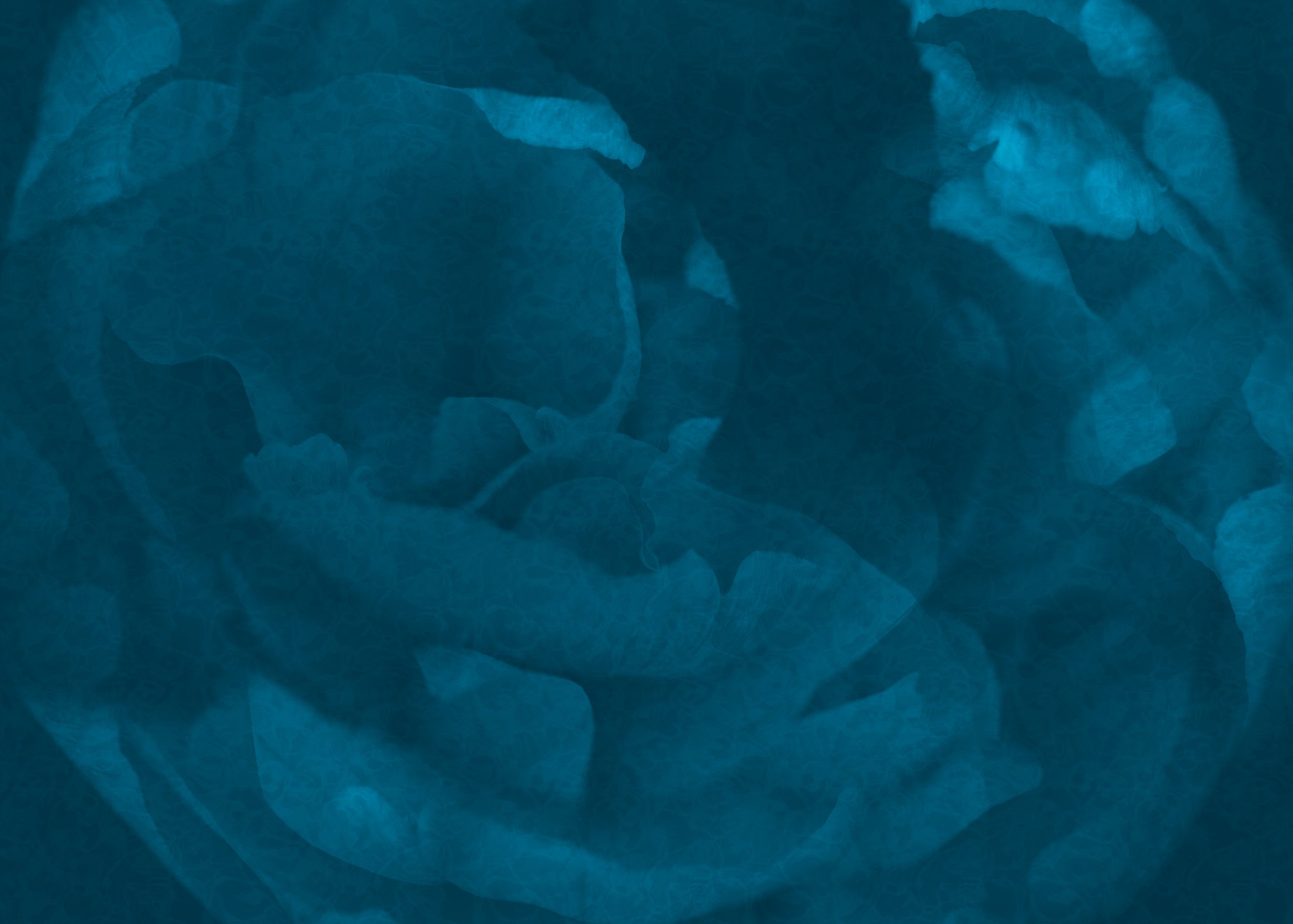 BlueTulipABS.jpg