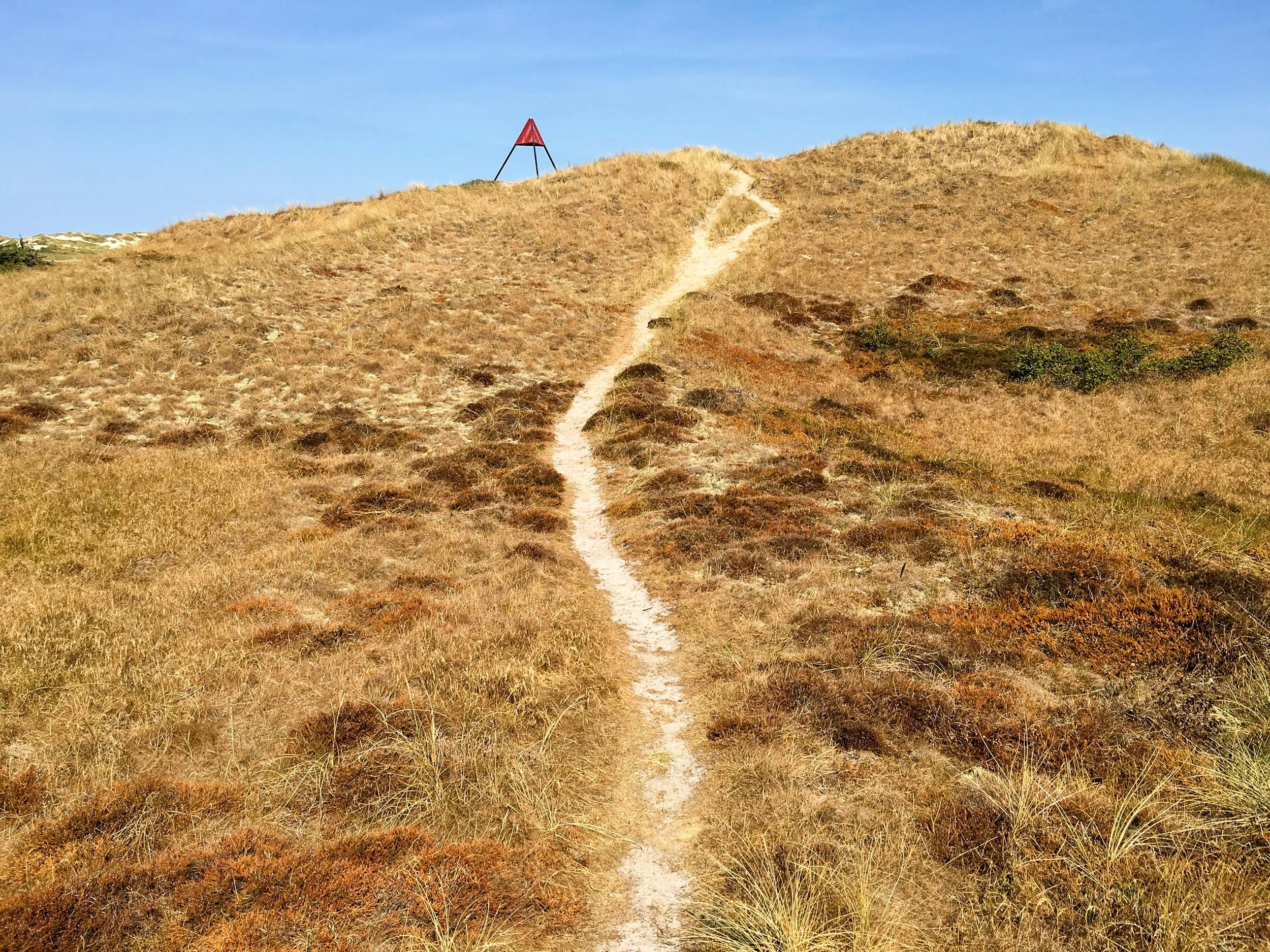 3IMG_5663_Hvide Sande-2.jpg