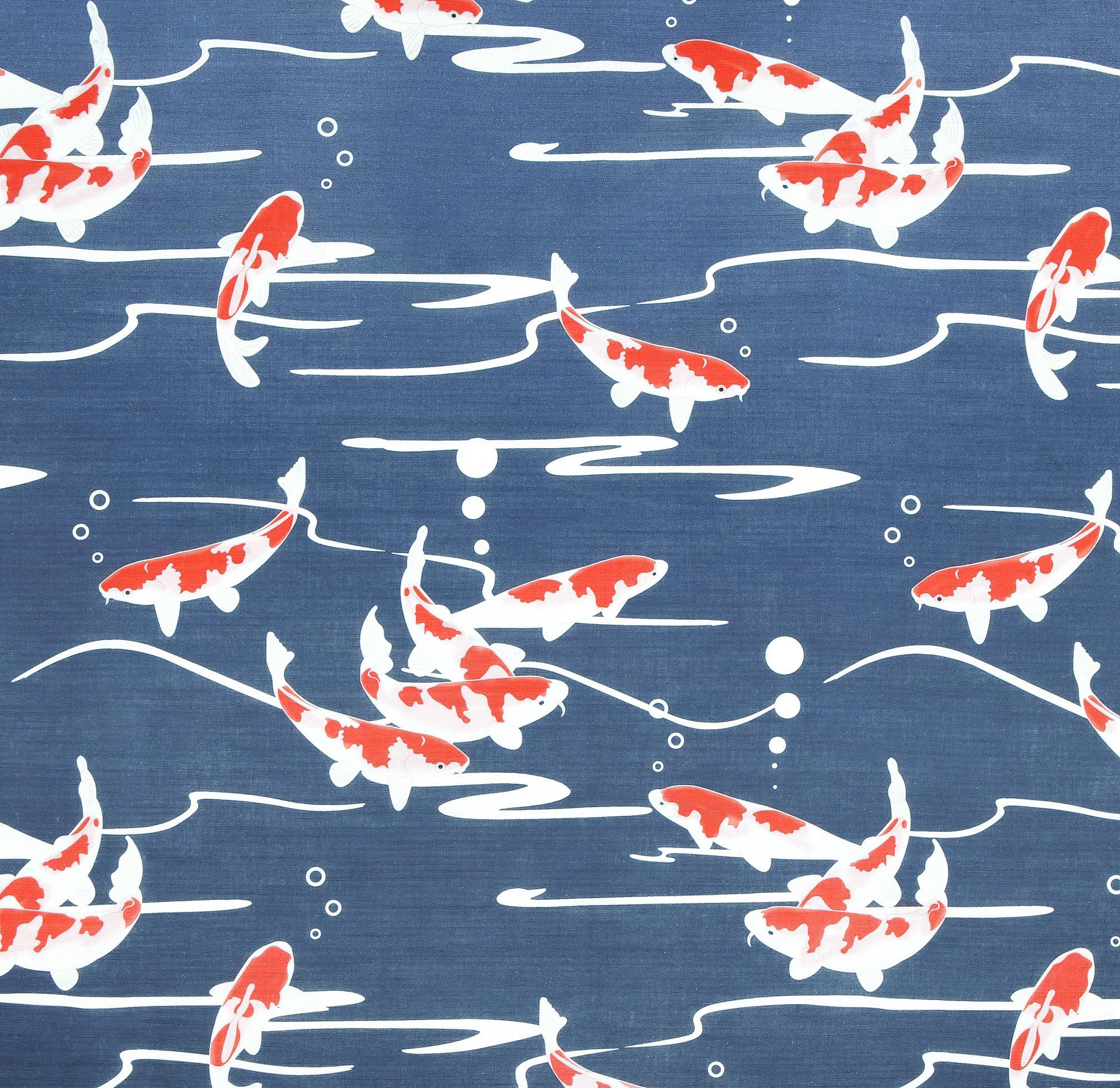 Koi blue tues 9.jpg