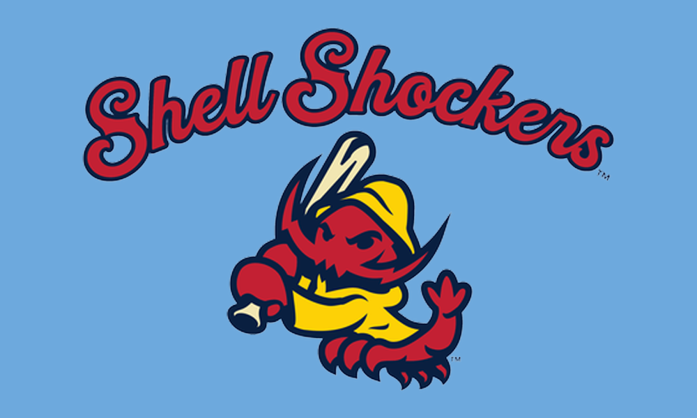 Ultra Soft Micro Fleece Team Blanket