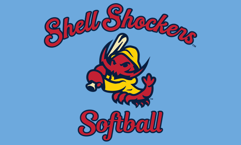 Softball Blanket.png