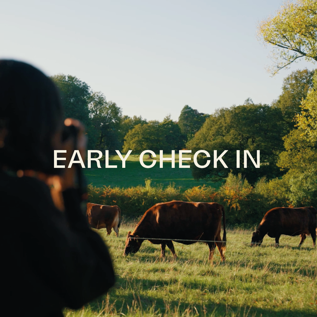 Early Check In