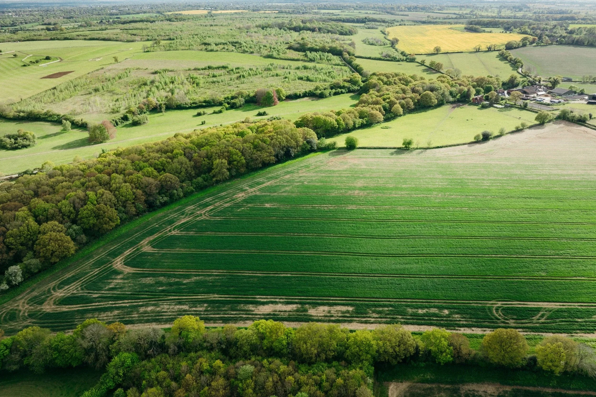 Couple Enjoying Nature at Re Cabins