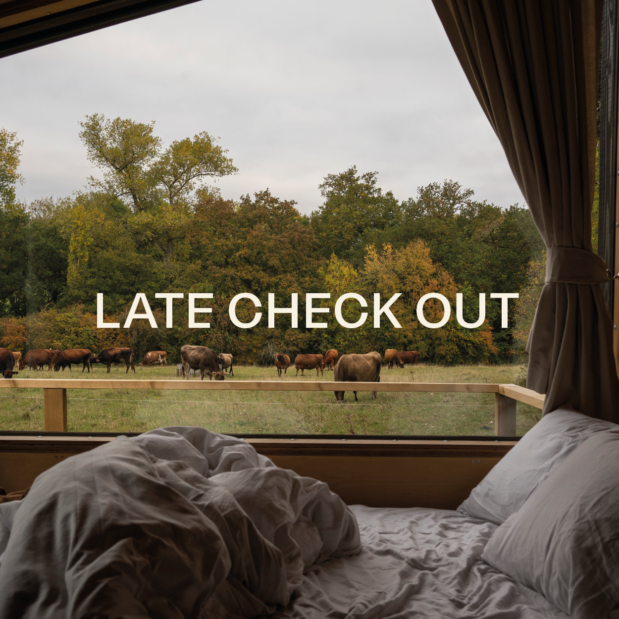 Late Checkout