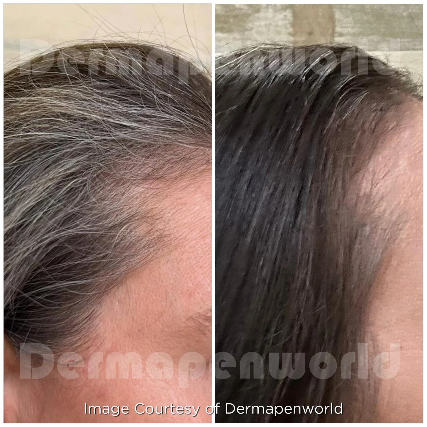 EXO_Client 130_Hair_Female.jpg