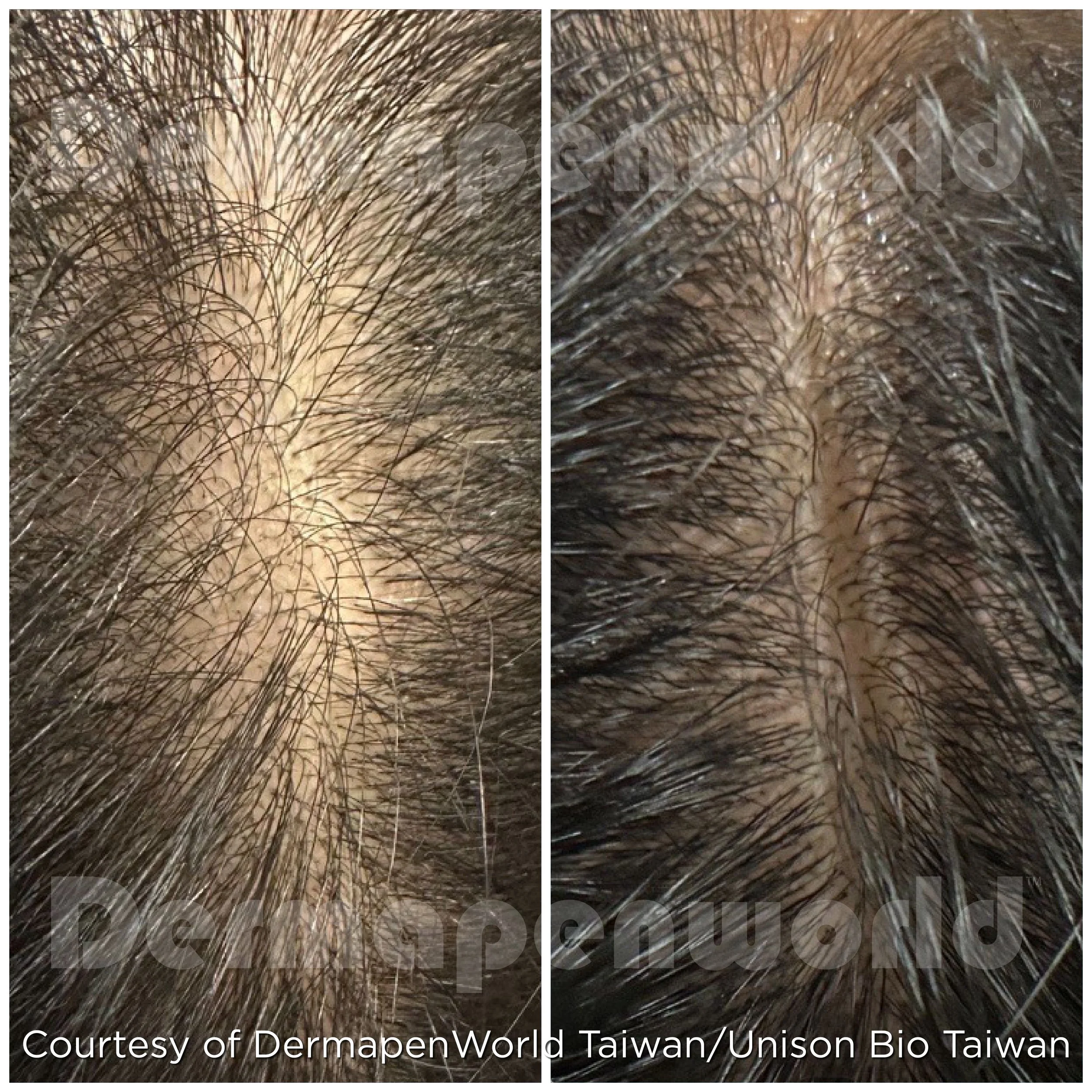 EXO_Client 127_Hair_Female (1).jpg