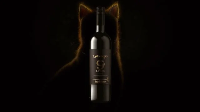 Gato Negro 9 Lives