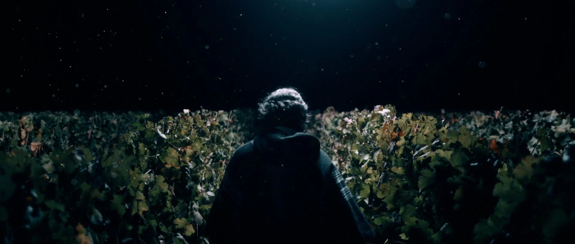 VIK - NIGHT HARVEST.mp4.00_01_02_08.Still004.jpg